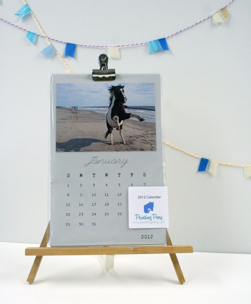 2012 Ponies on the Beach Photography Wall Calendar