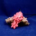 Pink Candy Cuttlefish Necklace - Handmade Polymer Clay Jewelry
