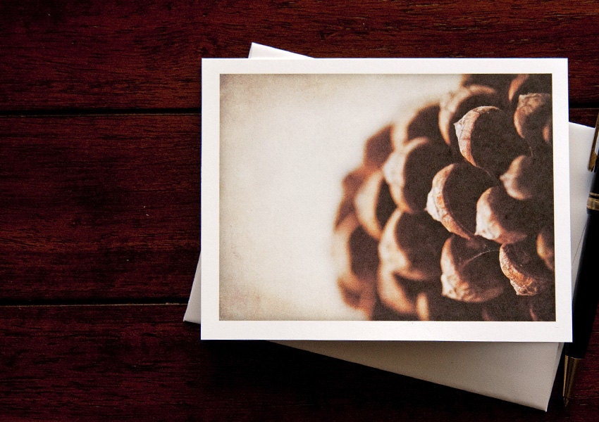 Pine Cone, Set of 12 Blank Greeting Cards