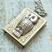Whimsical vintage style locket necklace.  Antique brass locket with a silver owl.  Jewelry by Sweet And Simple.