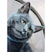 Swarovski Blue cat pet portrait Signed archival Giclee Print 8x10