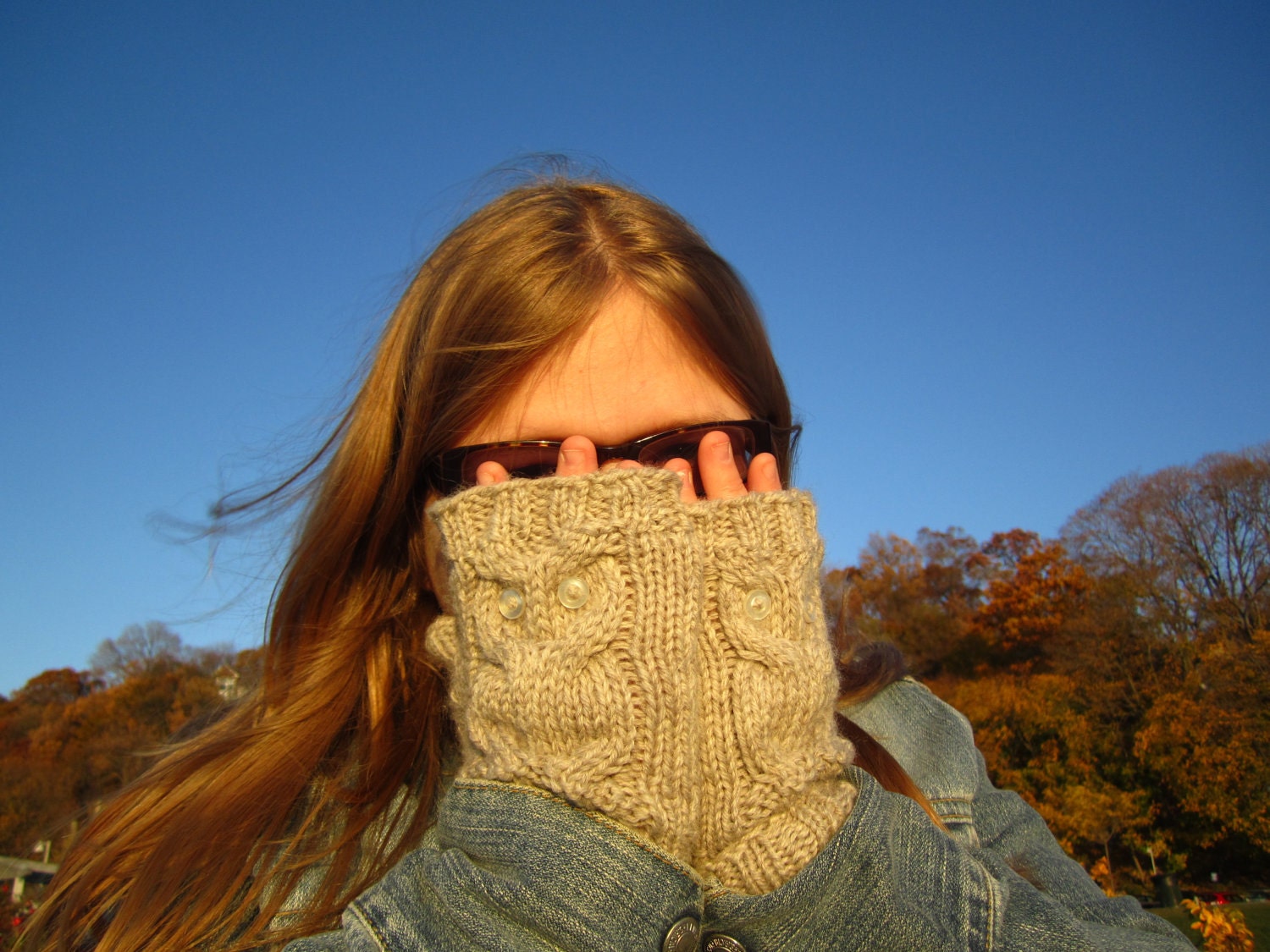 Give A Hoot, wool fingerless mittens