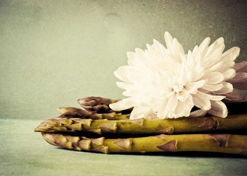 Ode to Aspara-guys . whimsical food photography . asparagus print . modern culinary decor . whimsical kitchen art . flower photography