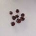 Medium Size Pine Cones- Lot of 8