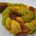 Polwarth Spinning or Felting Roving (Combed Top) - Birnam Oak