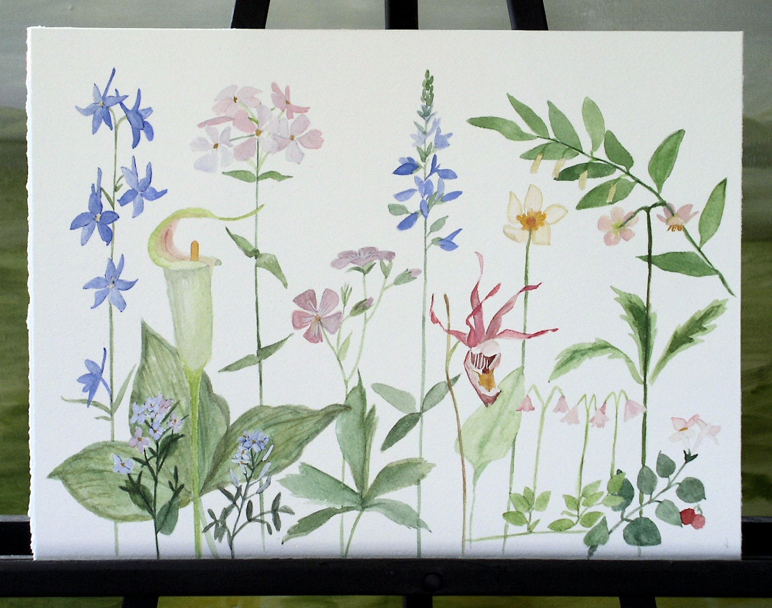 Original Watercolor Painting Illustration of Woodland Flowers