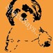 Custom Pop Art Pet Portrait Handpainted on Canvas