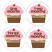 Monthly Onesie Sticker (Girl): Cupcake