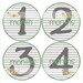 Monthly Onesie Sticker (Neutral):  Green & Grey Stripes
