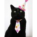 Cat Tie - The Big Birthday Bash