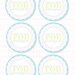 Frilly Tea Party Birthday PRINTABLE Favor Tags by Love The Day