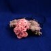 Octopus Love Necklace - Polymer Clay Cephalopod Kawaii Jewelry