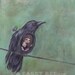 As the Crow Flies art print - bird painting 8x10 bird print