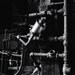 Industrial Strength - Signed Fine Art 8x10 Photo