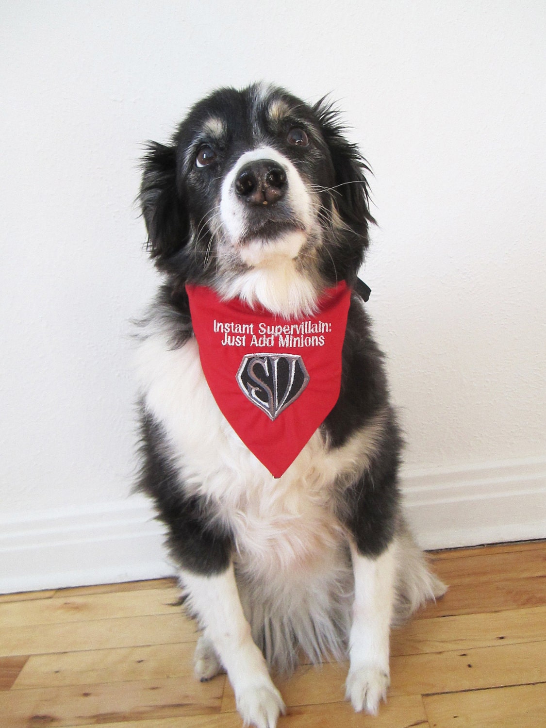 Supervillain Science Fiction Bad Dog reversible embroidered bandana, size MEDIUM