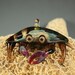 Lampwork Fanciful Crab Sealife Pendant - Collectible Glass Sculpture