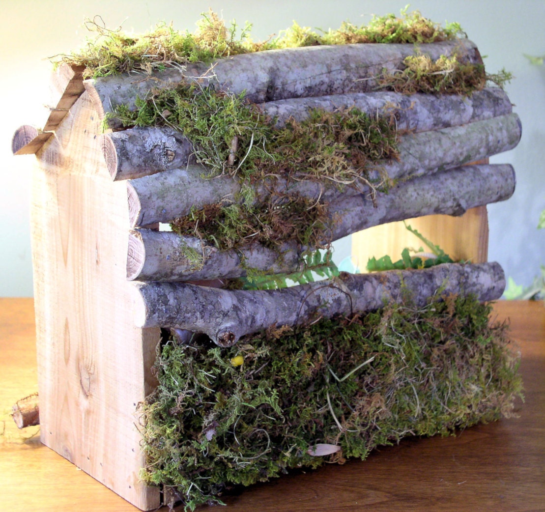 Woodland Fairy House Cafe Goes to the Beach