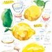 Kitchen art - Lemon meringue pie recipe - 8X10 print - Food illustration - French cake recipe Gourmet gift
