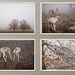 Deers and Trees