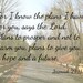 For I Know the Plans I Have for You (Jeremiah 29:11) - 8x10 Photographic Art Print on Metallic Paper