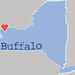 Buffalo 5x7 Print Wall Art