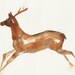 Deer, Animal Art, Original watercolor