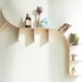 Modern Arched Bookshelves