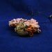 Steampunk Nautilus Necklace - Handmade Polymer Clay Jewelry