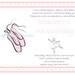 Complete Ballerina Birthday Party in a Box - Pre-Assembled - Party for 12