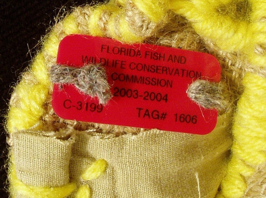 Florida Handbags,Handmade in Florida.