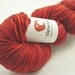 Superwash Merino Sport Yarn - Gluttony - Redwoods
