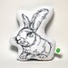 Rabbit Thread Drawing Plushie