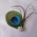 Set of 3 Bridesmaid peacock feather hair fascinator, barrette, hair clip