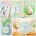 CHARLOTTE'S WEB Collection: Printable Party Décor