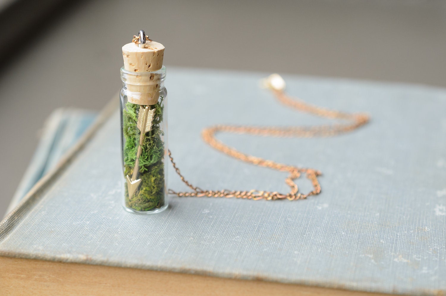 Arrow & Moss Necklace - Hunger Games Inspired Terrarium Pendant with Glass Vial and Cork