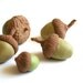Edible Chocolate Cocoa Bean Candy Acorns 25 - Cake Decoration / Gift - Featured in the Huffington Post-