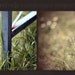 Photoshop Action - Summer Breeze