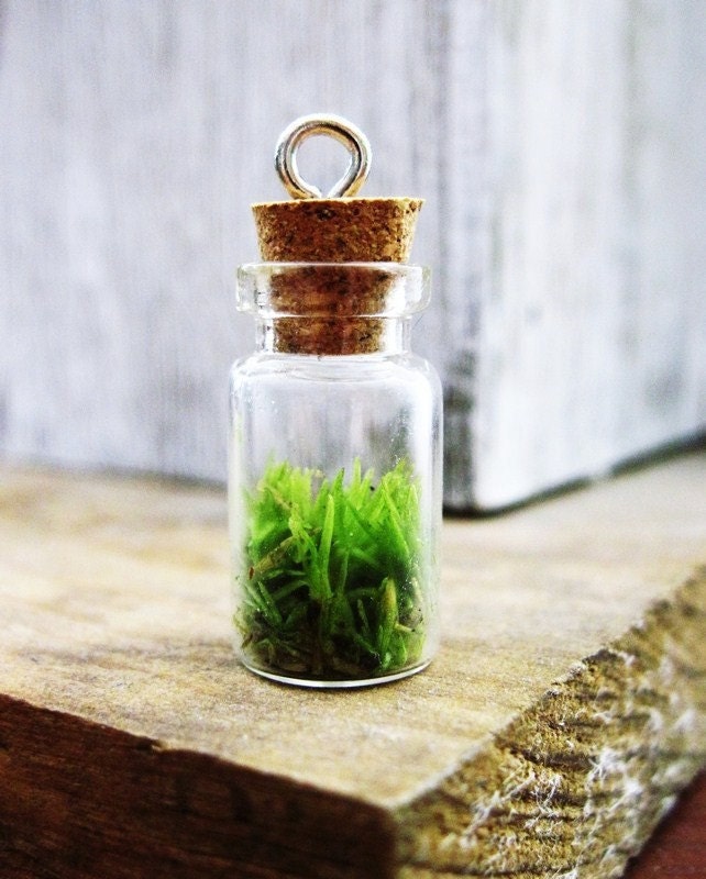 Live Moss Terrarium Pendant - Necklace Charm with Sterling Silver Hook
