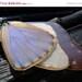 ON SALE real Butterfly Wing Necklace by Beijo Flor by BeijoFlor ON SALE real Butterfly Wing Necklace by Beijo Flor by BeijoFlor