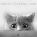 cat art, kitty, kitten, gray cat, ANT HUNTING cat print, from painting