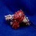 Burgundy Cuttlefish Necklace - Handmade Polymer Clay Jewelry