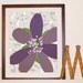 Purple Clematis Art Print, 11 x 14, Unframed (mix with "FlowerGarden" print series)
