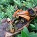 Dragon on driftwood