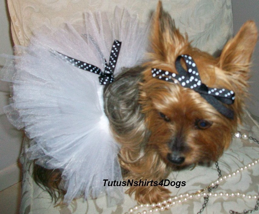 Handmade Posh Dog Tutu Dog Tutus Dog Wedding Dress Dog Clothes