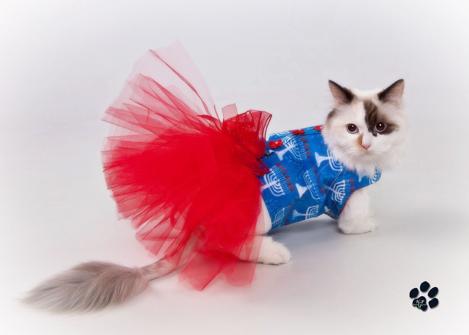 CATS AND DOGS DRESS The Dress Shop