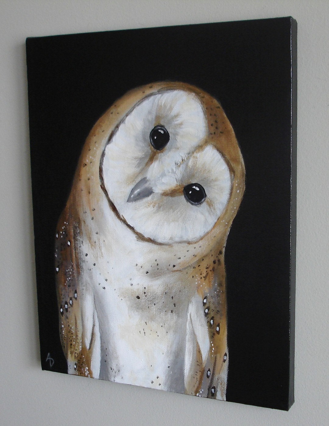 Barn Owl 11x14