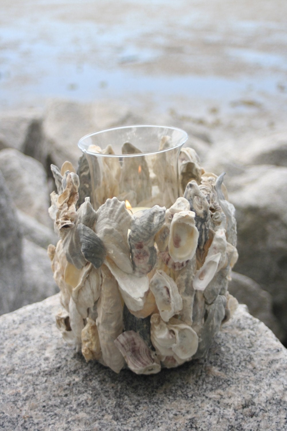 Oyster shells