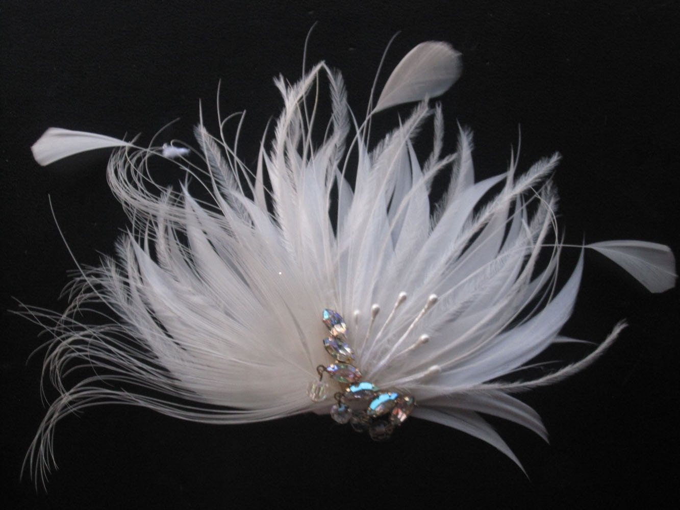 White Peacock Feather