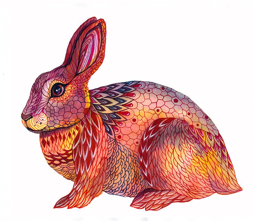 Rabbit