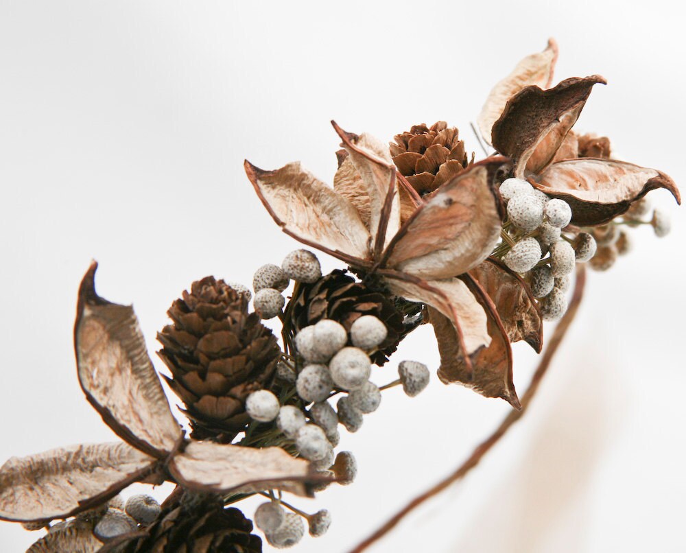 Pine Cone Headband Pine Cone Headband